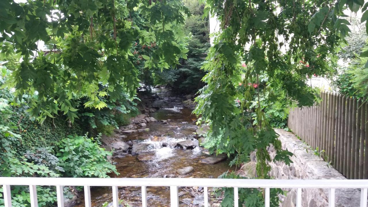 Appartement An Der Radau Bad Harzburg Zewnętrze zdjęcie